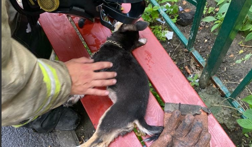 Шесть человек и собаку спасли пожарные в Ангарске (Видео)