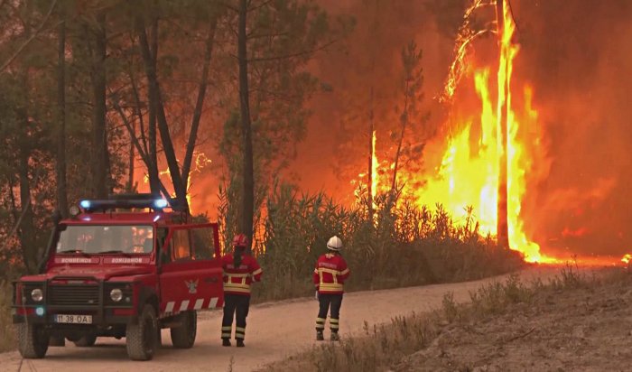 На территории северных районов Иркутской области продлён противопожарный режим