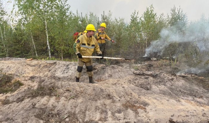 Более ста иркутских десантников тушат лесные пожары в Нижегородской и Рязанской областях