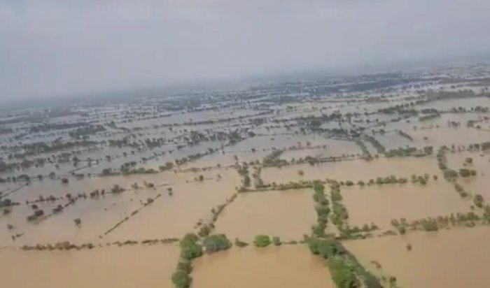 Более тысячи человек погибли из-за наводнения в Пакистане