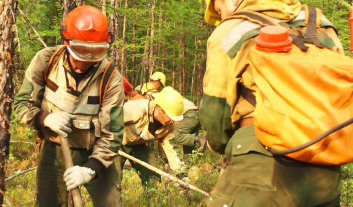 В Приангарье был обнаружен один лесной пожар