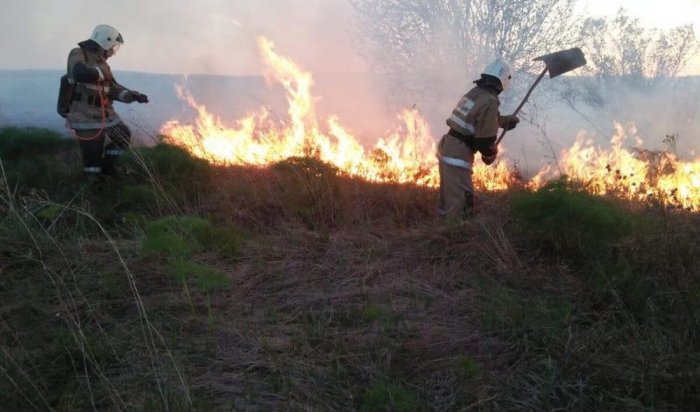 Два лесных возгорания ликвидировано в Иркутской области