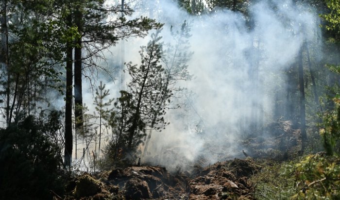 В Иркутской области за сутки ликвидировали три лесных пожара