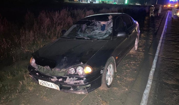 В Зиме автоледи насмерть сбила велосипедиста