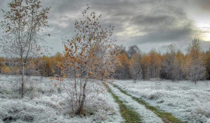 Ночью 1 октября в Иркутской области ожидается усиление ветра до 15-19 м/с