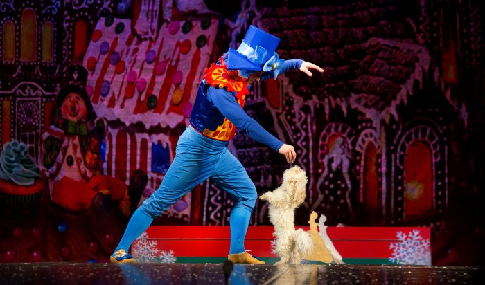 10 декабря в Ангарске пройдёт представление «Щелкунчик и кошки»