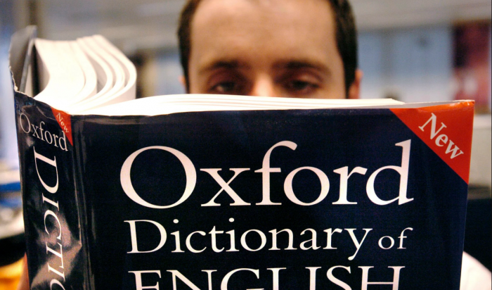 Оксфордский словарь назвал словом 2022 года выражение «режим гоблина»