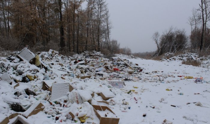 32 несанкционированные свалки ликвидируют в 2023 году в Иркутской области