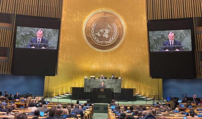 ООН приняла антироссийскую резолюцию «О принципах справедливого мира на Украине»