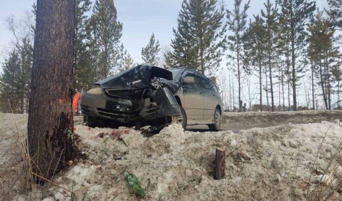 Женщина и ребенок пострадали в ДТП в Усольском районе