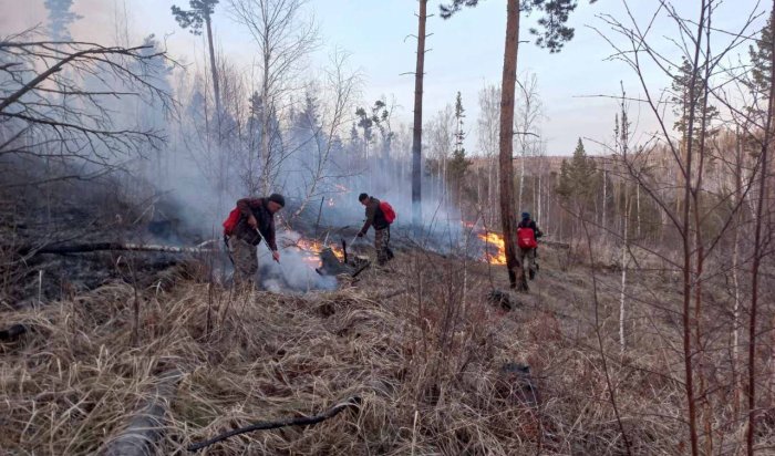 Два возгорания ликвидировали на землях лесного фонда в Иркутской области