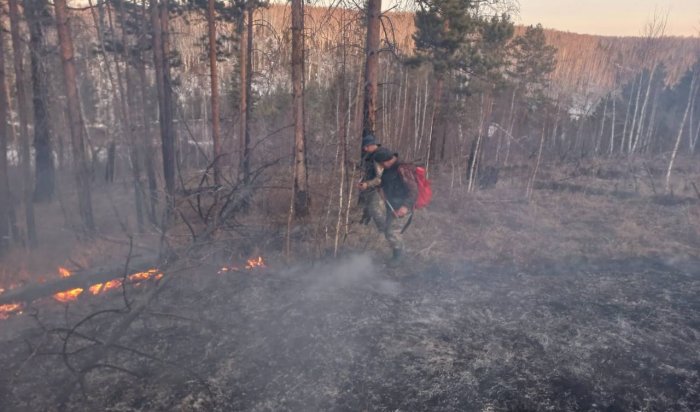 В Нижнеудинском районе потушили лесной пожар площадью 35,5 га