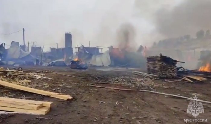 В Столбова загорелся склад с пиломатериалами (Видео)