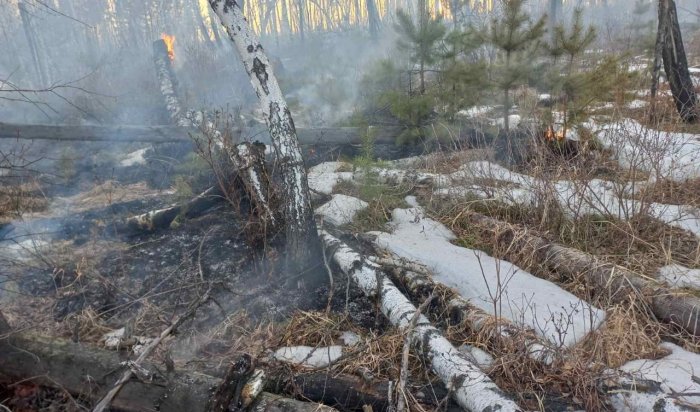 Два лесных пожара на площади 156 га потушили в Иркутской области
