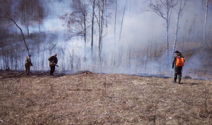 Три лесных возгорания потушили в Приангарье за прошедшие сутки