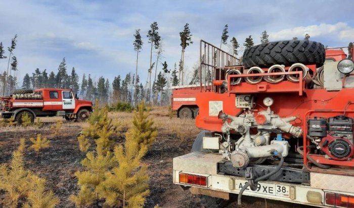 Четыре возгорания ликвидировали в лесном фонде Иркутской области за последние сутки