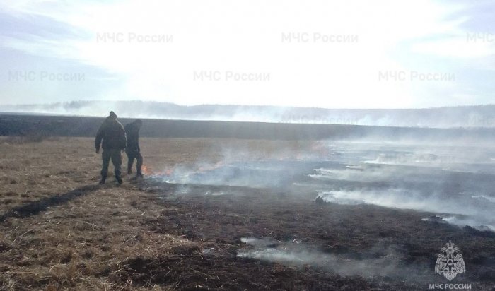 Установлен виновник лесного пожара в Баяндаевском районе
