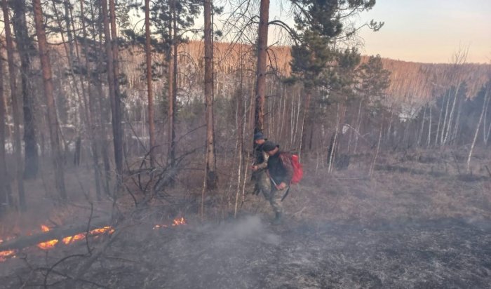 В Зиминском районе обнаружили и потушили лесной пожар