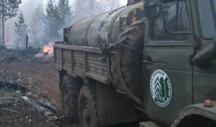 83 га лесных пожаров потушили в Приангарье за прошедшие сутки
