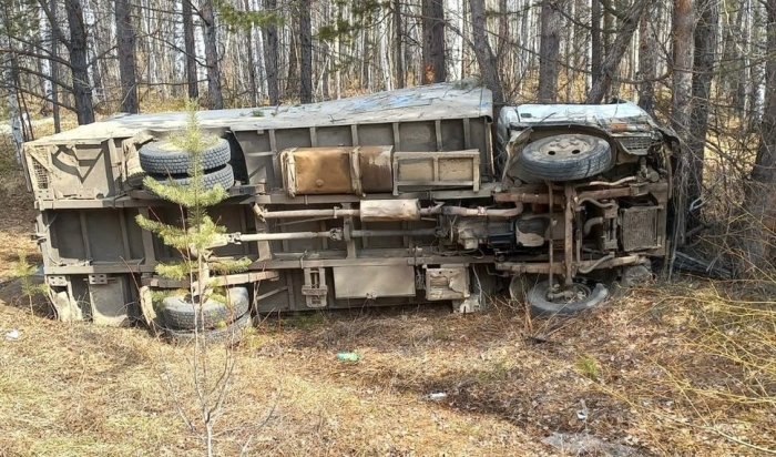 Водитель грузовика и две коровы погибли в ДТП в Нукутском районе