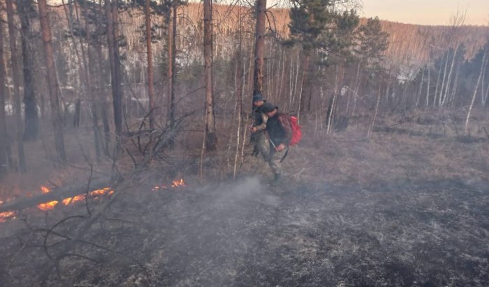 Два лесных пожара ликвидировали в Иркутской области