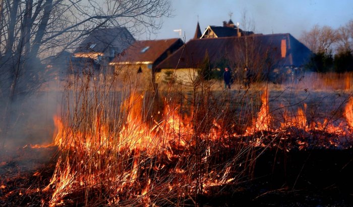 Высокая пожароопасность лесов и усиление ветра ожидаются в ближайшие сутки в Иркутской области