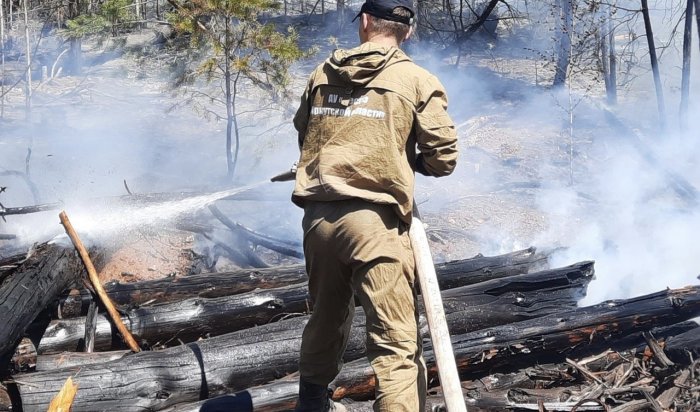 Семь лесных пожаров потушили в Приангарье за сутки
