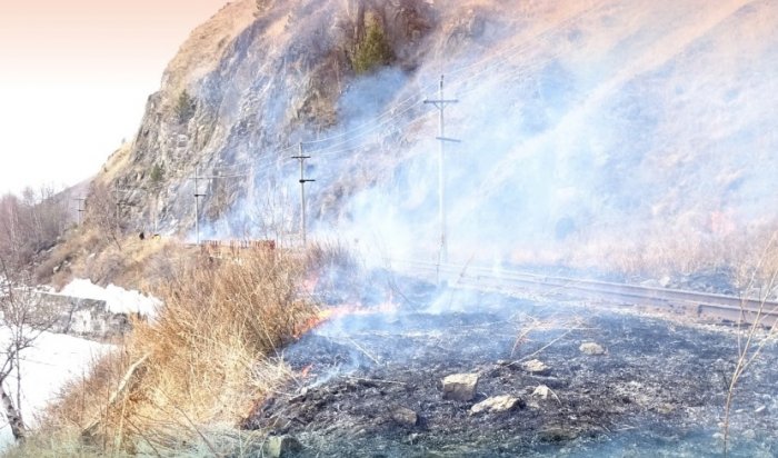 Два маршрута Прибайкальского нацпарка закрыты из-за лесного пожара