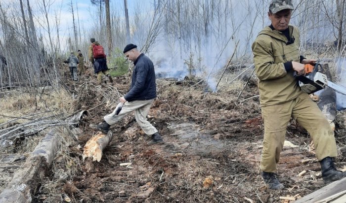 Десять лесных пожаров потушили в Иркутской области