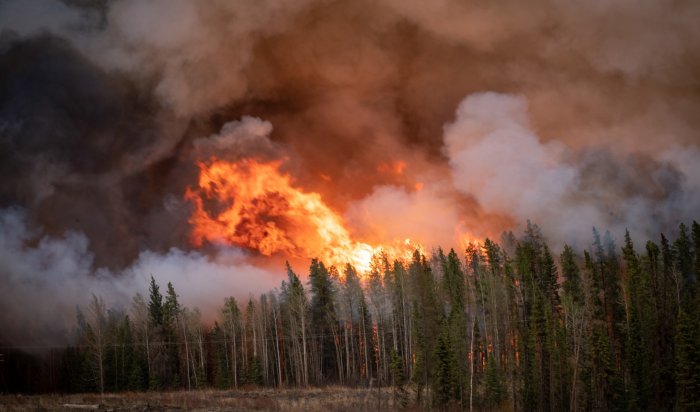 В Иркутской области ожидается высокая пожароопасность леса