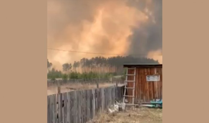 Крупный пожар в Усольском районе затронул два садоводства и детский лагерь (Видео)