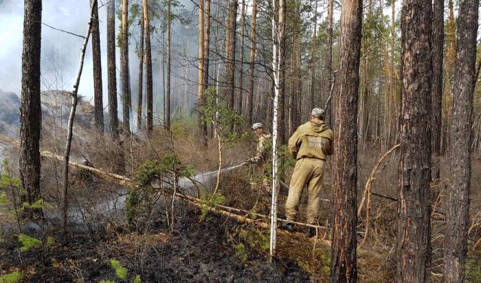 За минувшие сутки в лесном фонде в Иркутской области ликвидировали 12 лесных пожаров