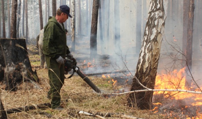 За сутки в лесном фонде в Иркутской области ликвидировано 11 пожаров