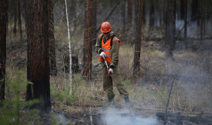 Семь лесных пожаров ликвидировали в Иркутской области