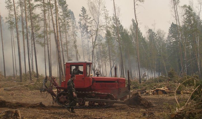 Шесть лесных пожаров потушили в Иркутской области