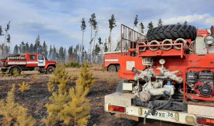 Десять вновь зарегистрированных лесных пожаров потушили в Иркутской области