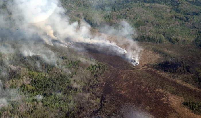 Восемь лесных пожаров ликвидировали в Иркутской области за сутки