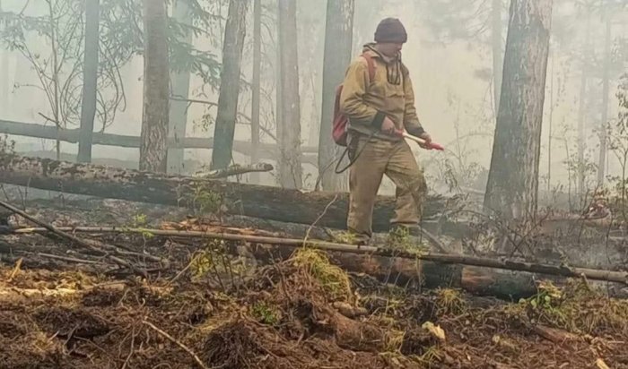 За минувшие сутки в лесном фонде Иркутской области ликвидировано восемь пожаров