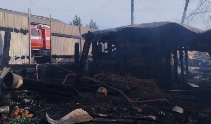 Шесть человек погибли на пожарах за прошедшие сутки в Иркутской области