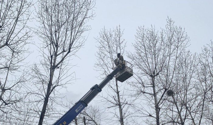 В Иркутске сносят деревья вдоль дорог, подлежащих ремонту