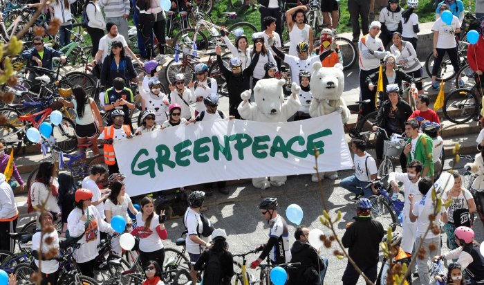 Greenpeace внесли в перечень нежелательных организаций