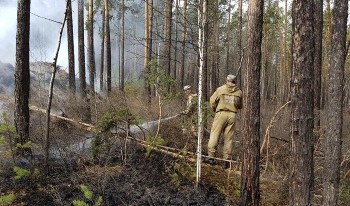 За минувшие сутки в лесном фонде Иркутской области ликвидировано три пожара