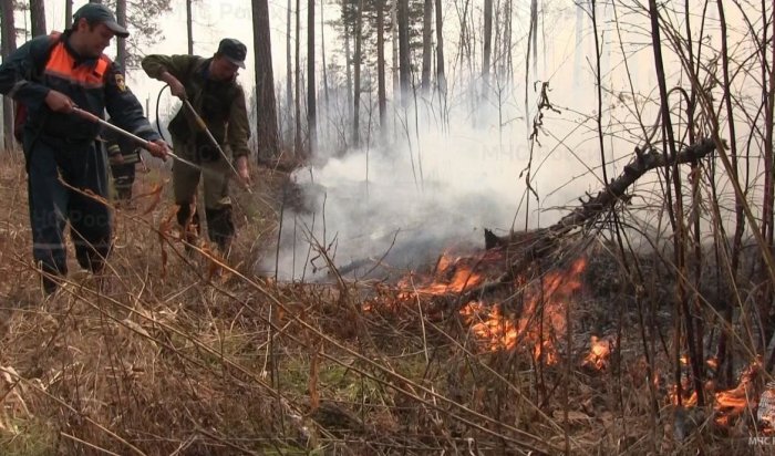 235 лесных пожаров произошло в Иркутской области с начала пожароопасного сезона