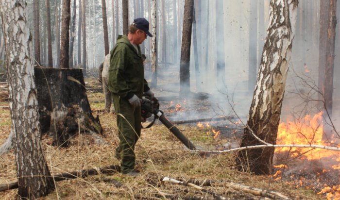 Два лесных пожара потушили в Иркутской области