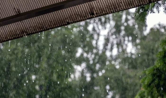 В ближайшие сутки в Приангарье ожидаются дожди, грозы и сильный ветер