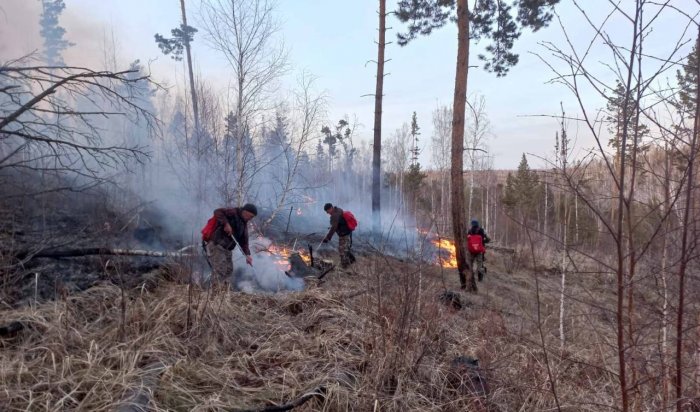 Шесть лесных пожаров потушили в Иркутской области за сутки