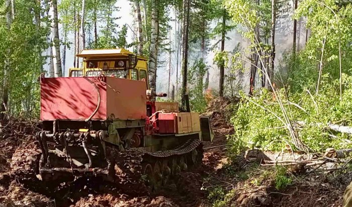 Два лесных пожара потушили за сутки в Приангарье