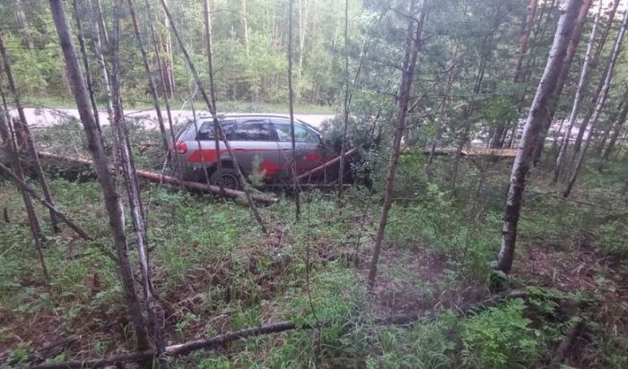 В Братском районе в результате столкновения автомобиля с деревом погибла женщина