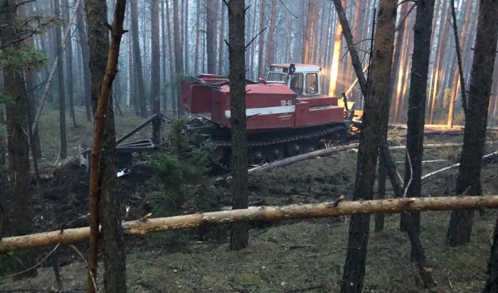 Пять лесных возгораний потушили в Иркутской области 22 июня