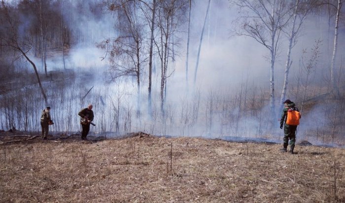 За минувшие сутки в лесном фонде Иркутской области ликвидирован один пожар